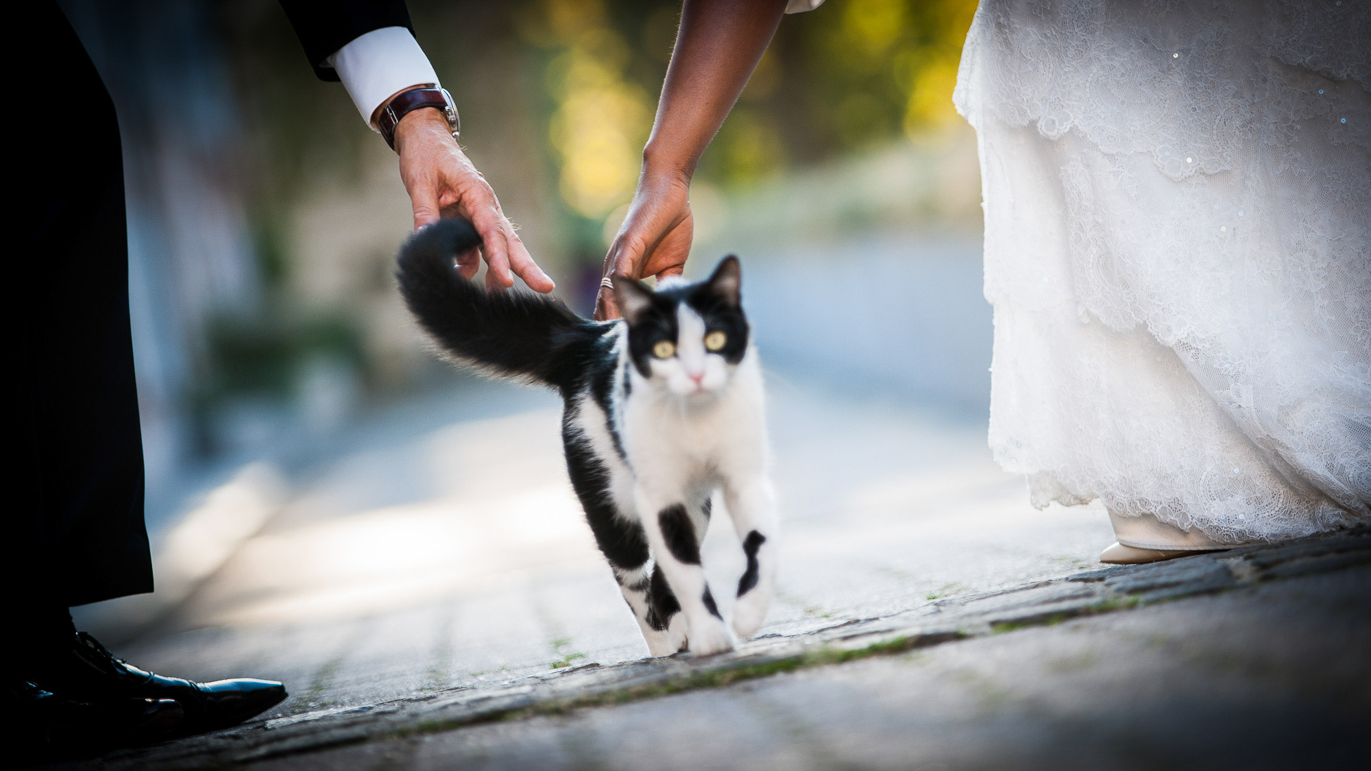 Photographe-professionnel-de-mariages-à-Genève-DSC07535.jpg