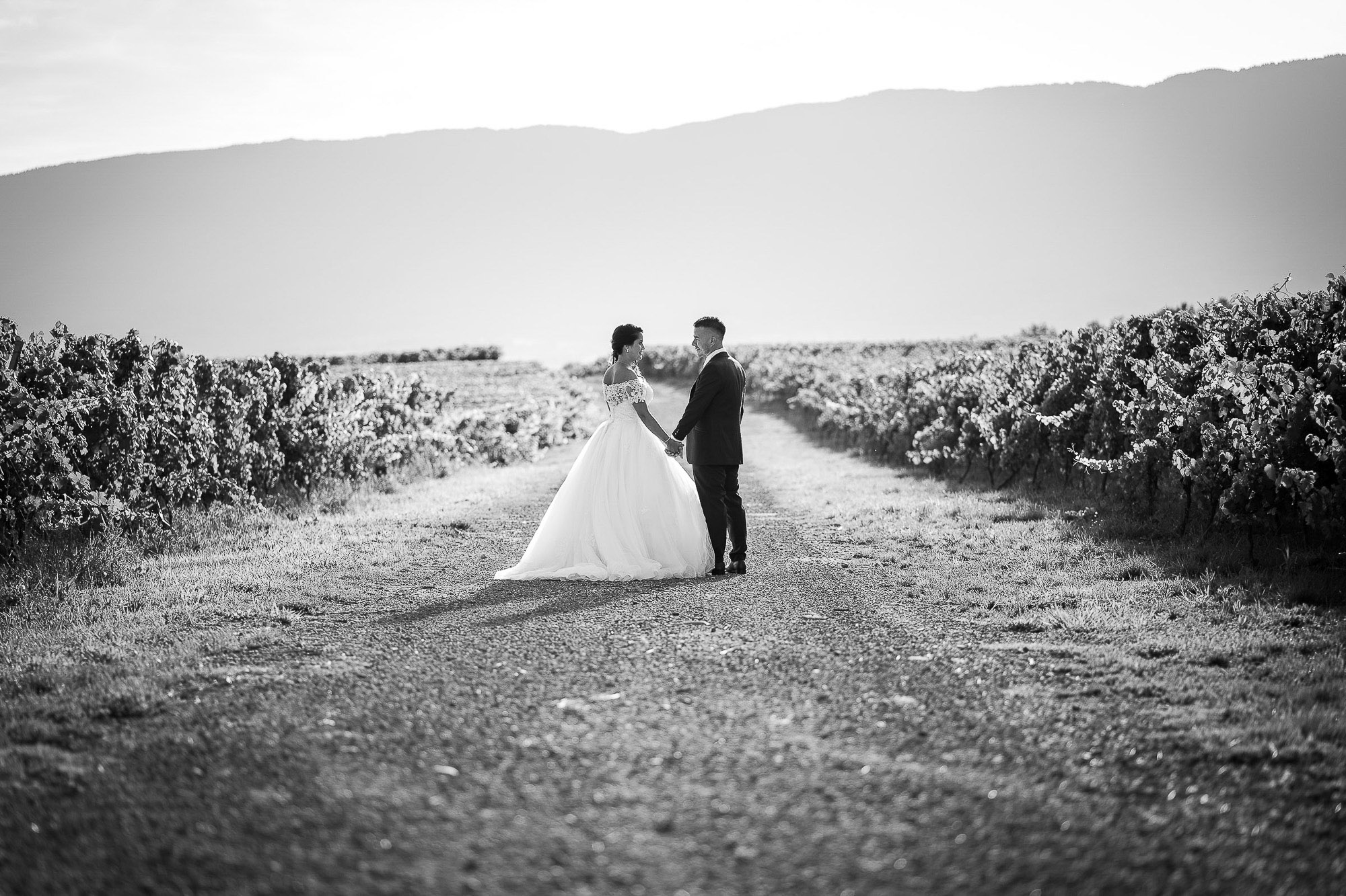 Photographe-professionnel-de-mariages-à-Genève-_DSC0647.jpg